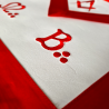 SCOTTISH RITE APRON (AASR)